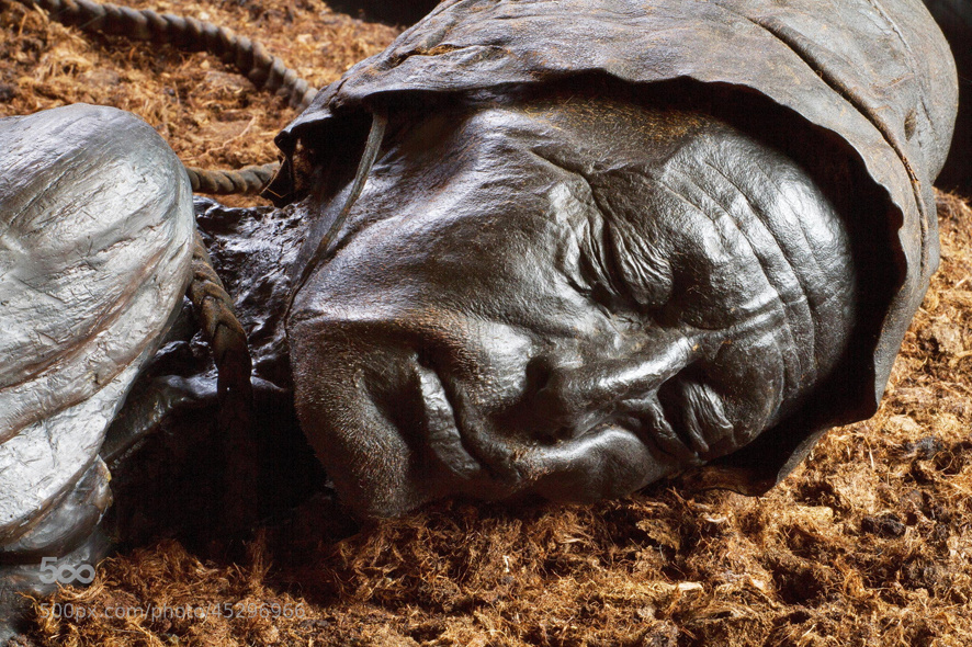 Голова человека из Толлунда. Яндекс. Картинки.