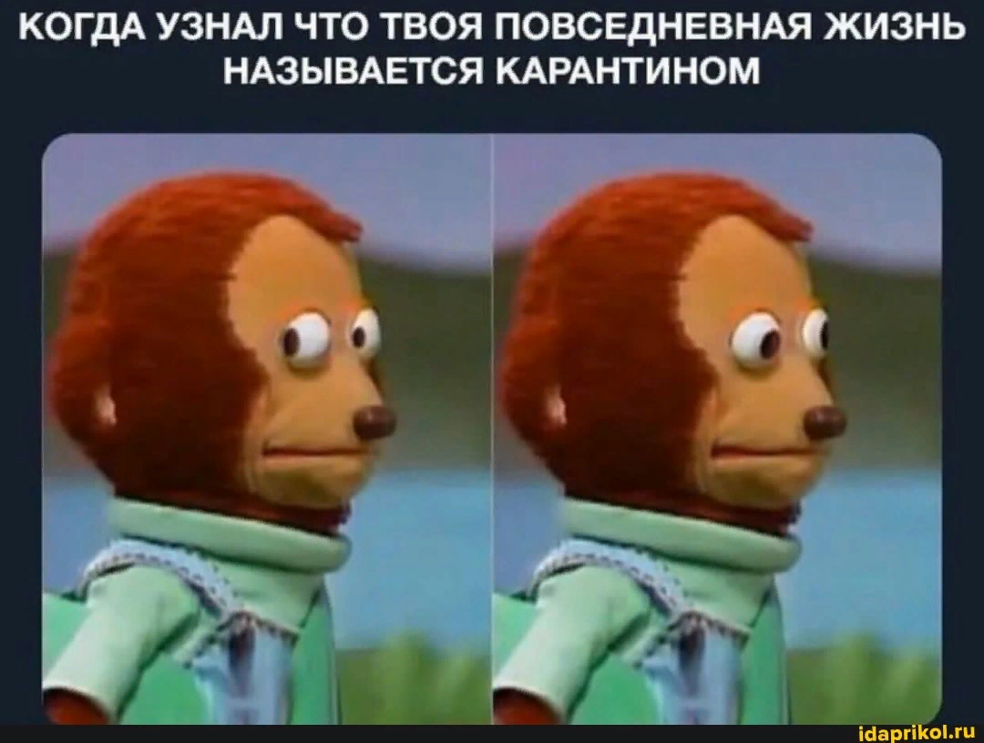 Картинка про мою жизнь