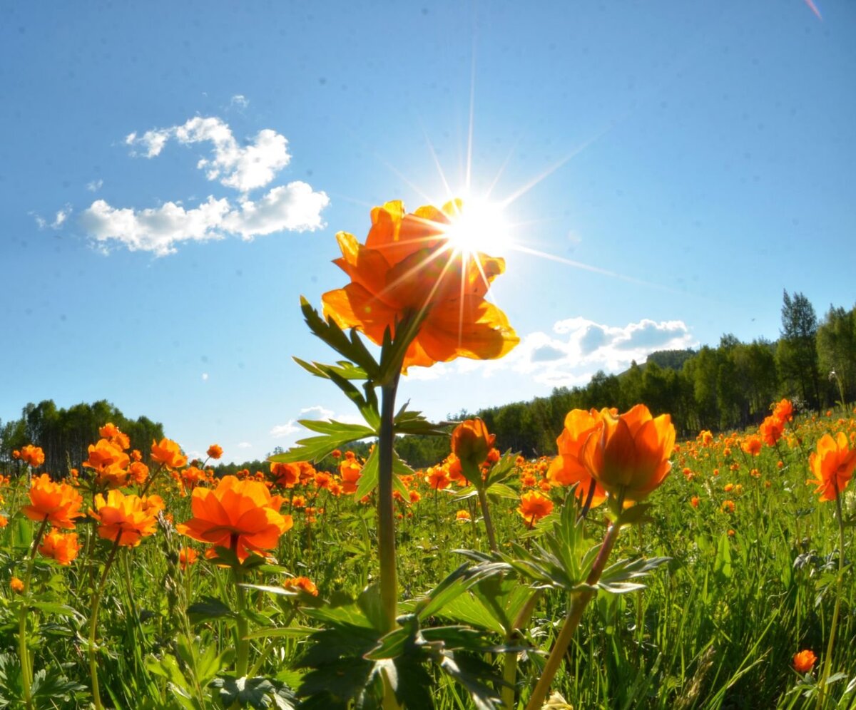 Ничто не предвещает стихии.