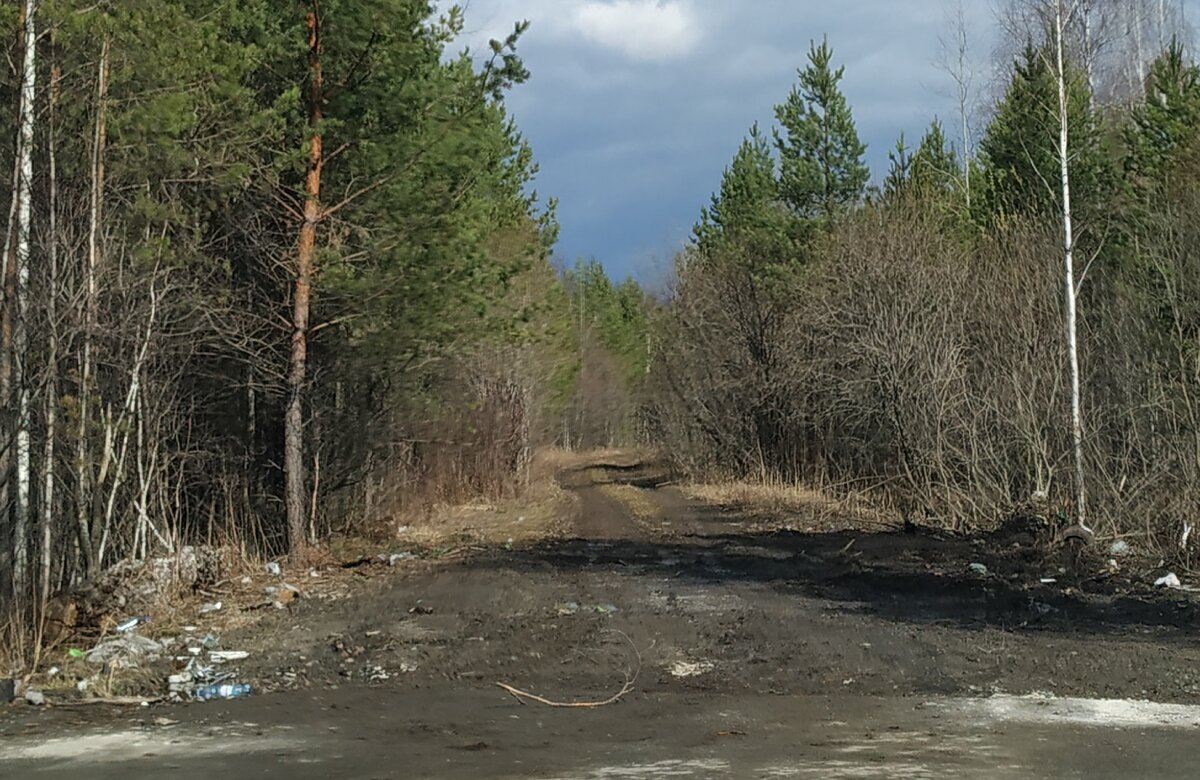 «Приходишь в лес, а тут свинарник»: ставропольцы попросили убирать за собой после пикников