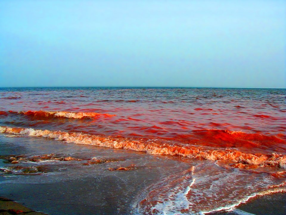 Красное море по водой