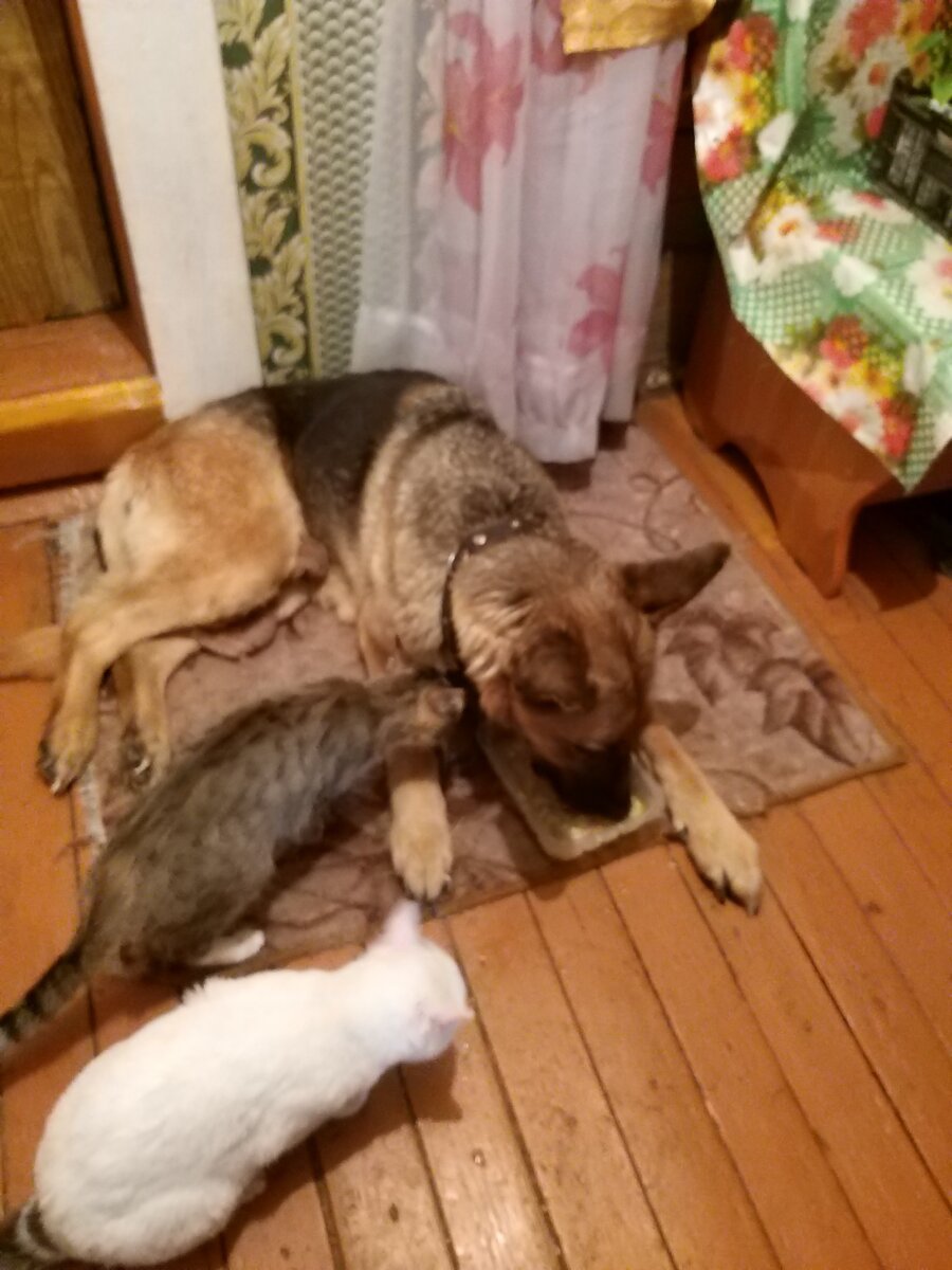 Наглость - второе счастье!