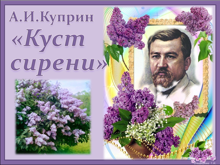 Содержание рассказа куст сирени куприн. Куст сирени Куприна. Куприн сиреневый куст.