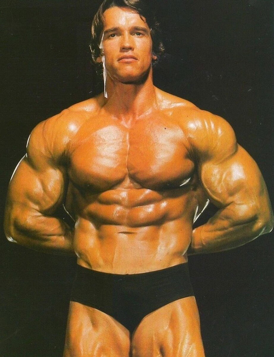 источник Яндекс Картинка Арнольд Шварценегер