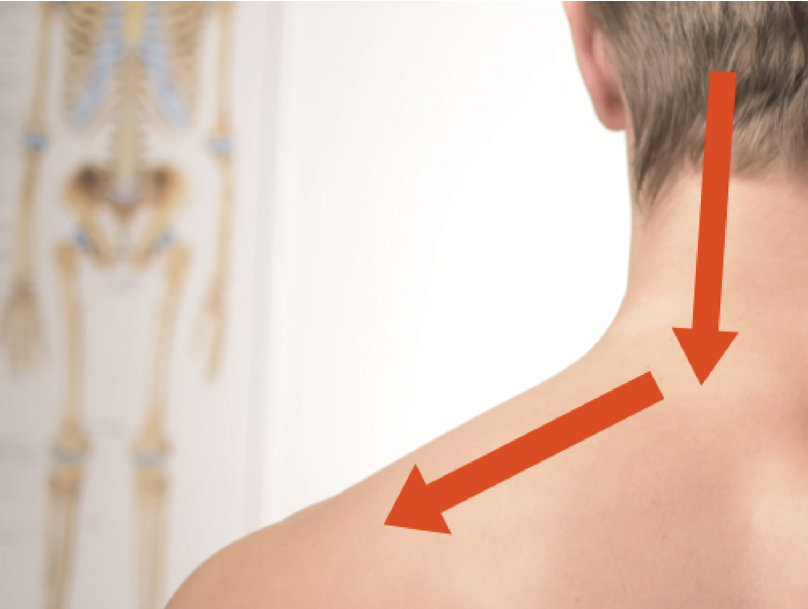 массируем и растираем от основания черепа до плечевого сустава