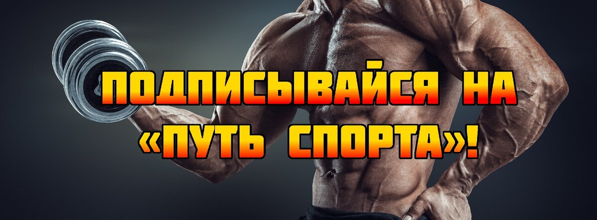 52% Protein Bar �����: ����.