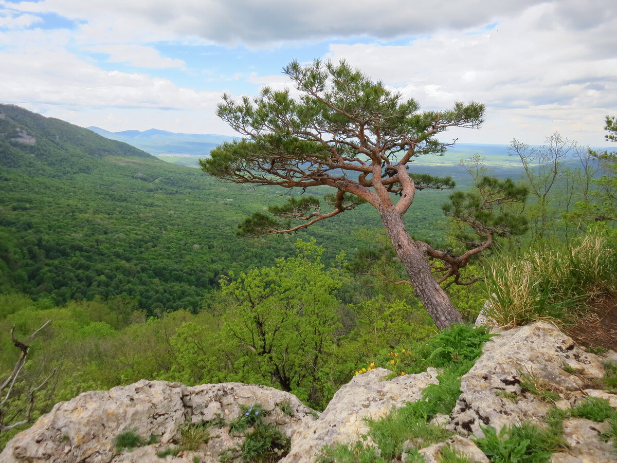 Здесь и далее - фото автора.