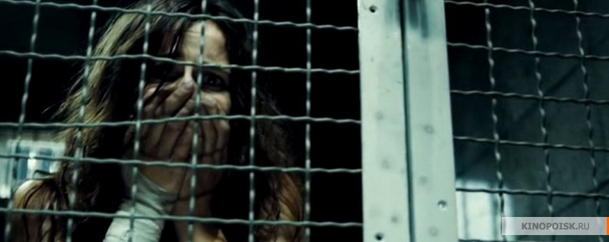 Фото взято из открытых источников