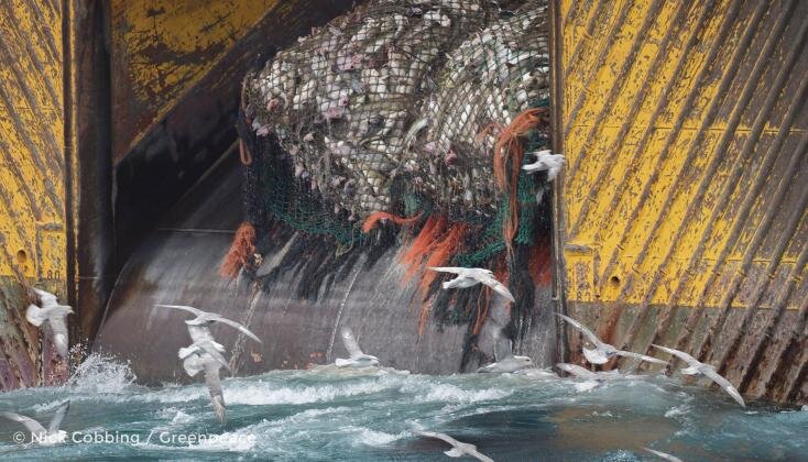 https://blog.greenpeace.de/sites/default/files/styles/gp_content_image__landscape__wide__1x/public/media/images/Blog_Atlantik_2.jpg?itok=Tx2Fz7d5