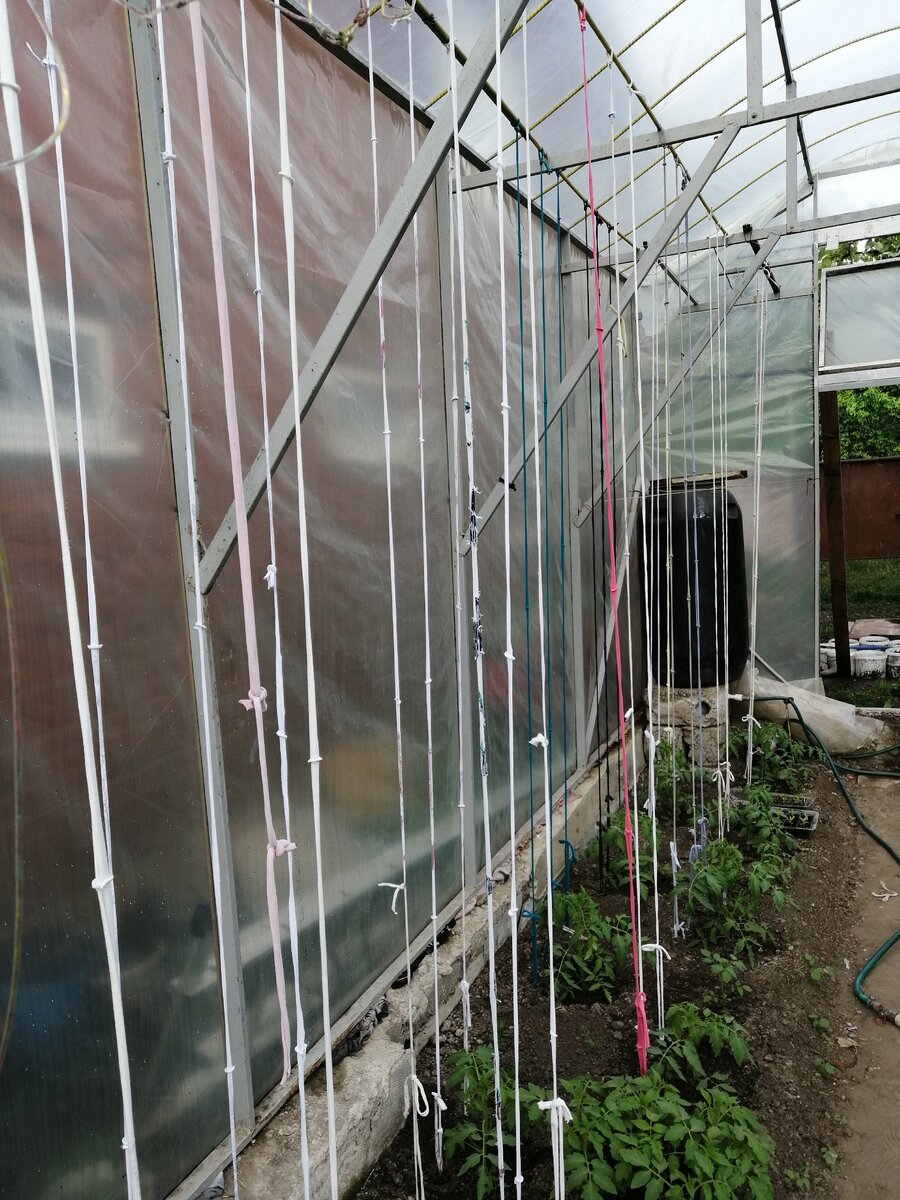 Собственное фото.