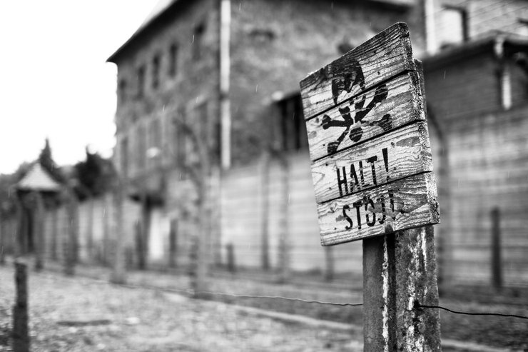 Не верится, что в таком мрачном месте сумела сохраниться надежда...