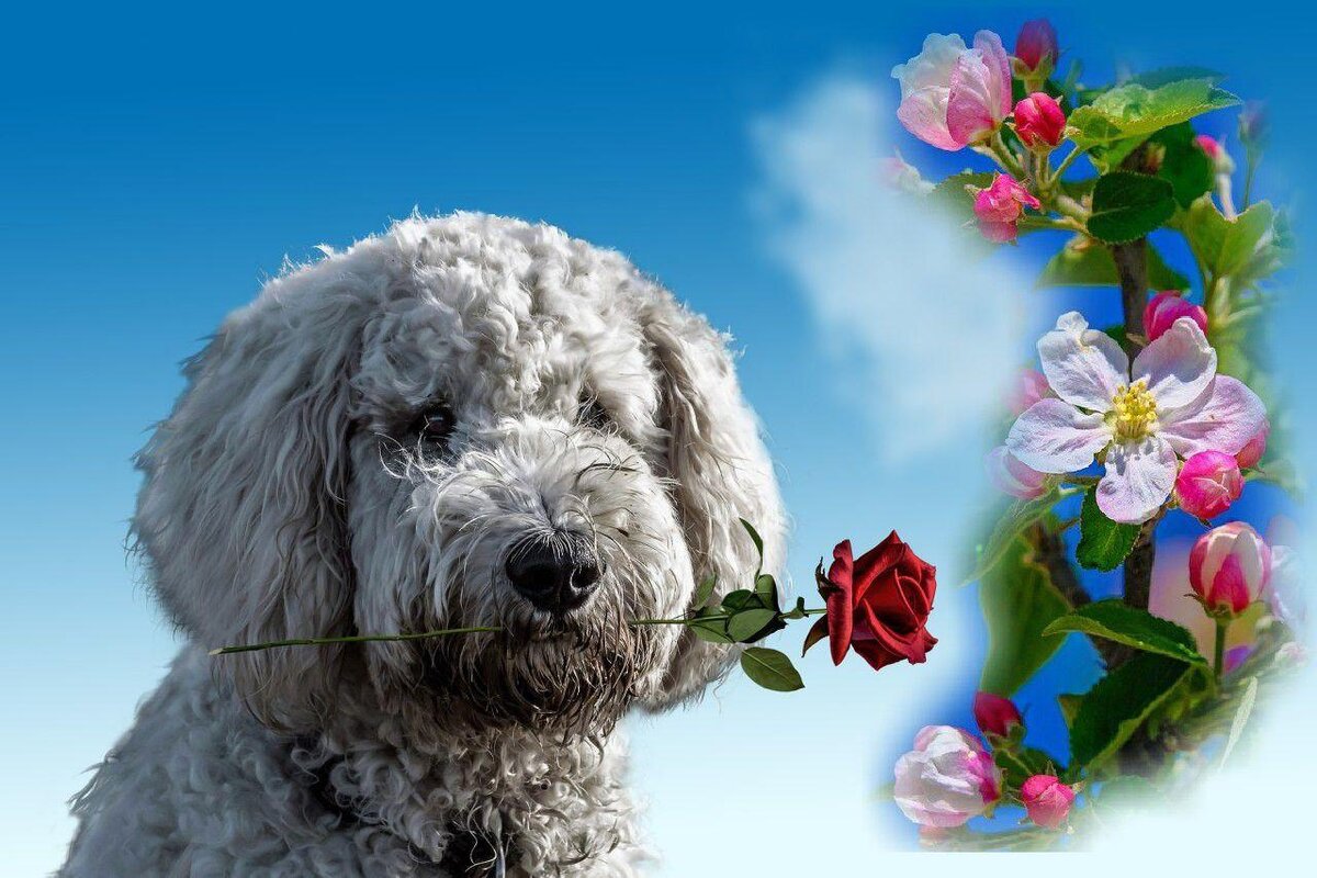 Ставьте лайк и подписывайтесь — так вы поможете развитию канала!