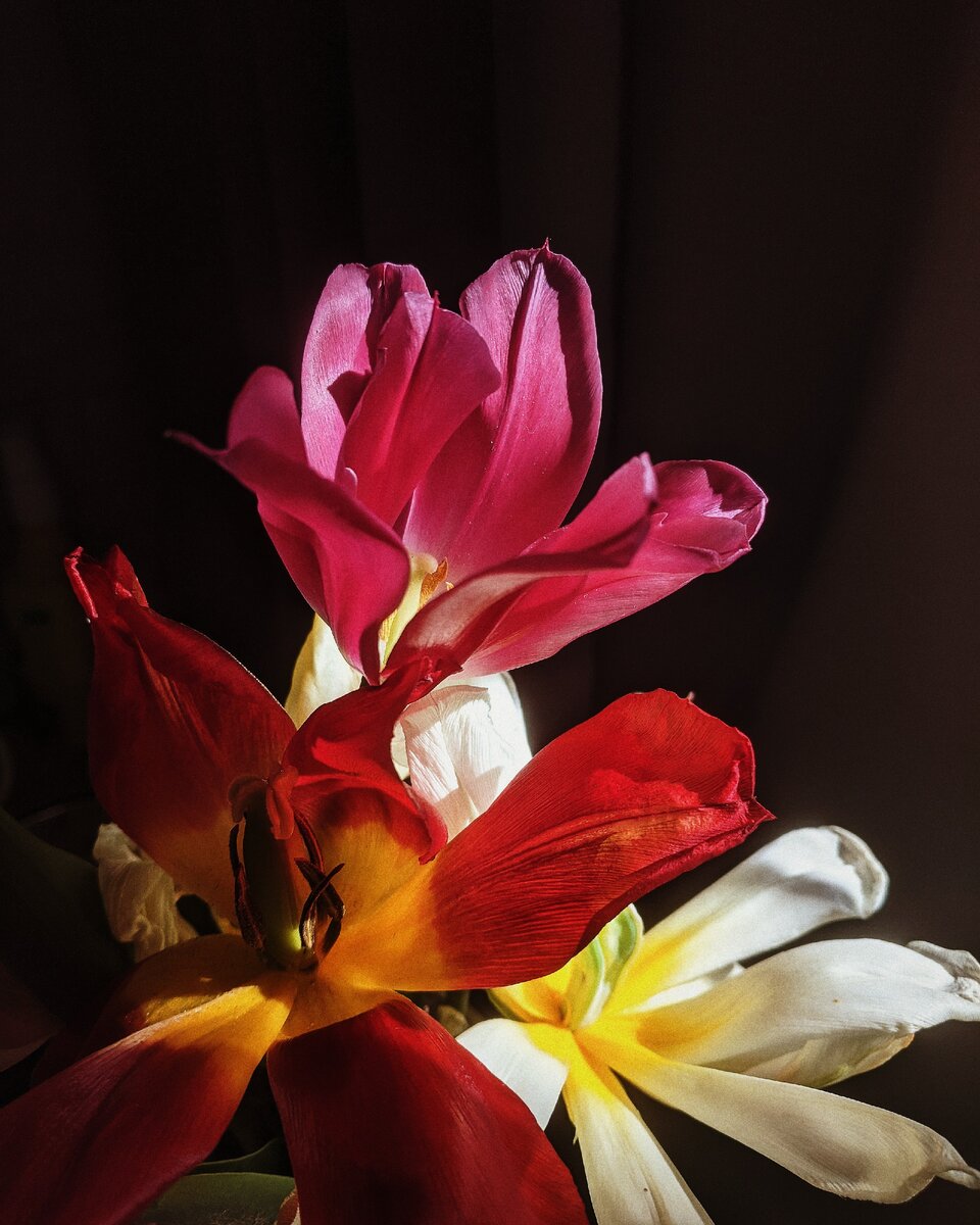 Фото из личного архива @tol.a.p