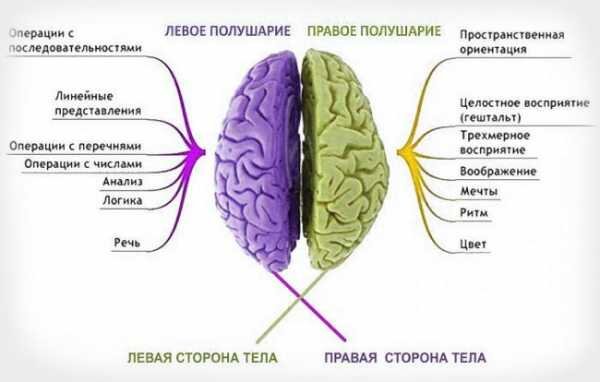 cspsid-pechatniki.ru