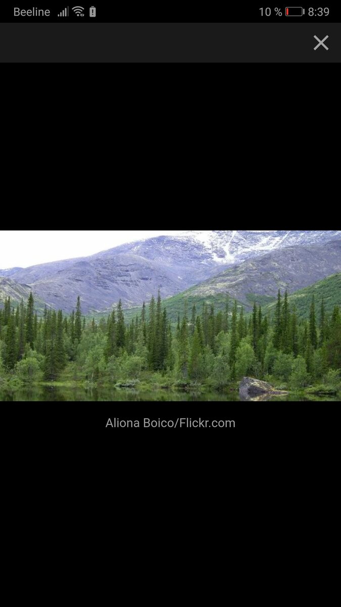 Хибины — это горы на Кольском полуострове. Имеют мягкий рельеф и отличаются потрясающей природой. Там произрастает и обитает почти вся Красная книга. Большую часть года горный массив остаётся заснеженным, благодаря чему привлекает любителей горнолыжного спорта. Основные горнолыжные комплексы – на горах Айкуайвенчорр и Кукисвумчорр. Кататься можно с ноября по июнь.

Не стоите на лыжах? Отправляйтесь на джип-сафари по полуострову, рыбачьте в изумрудных озёрах или знакомьтесь с бытом кольских оленеводов. Также из программы-минимум в Хибинах — Полярно-альпийский ботанический сад и «Снежная деревня». 