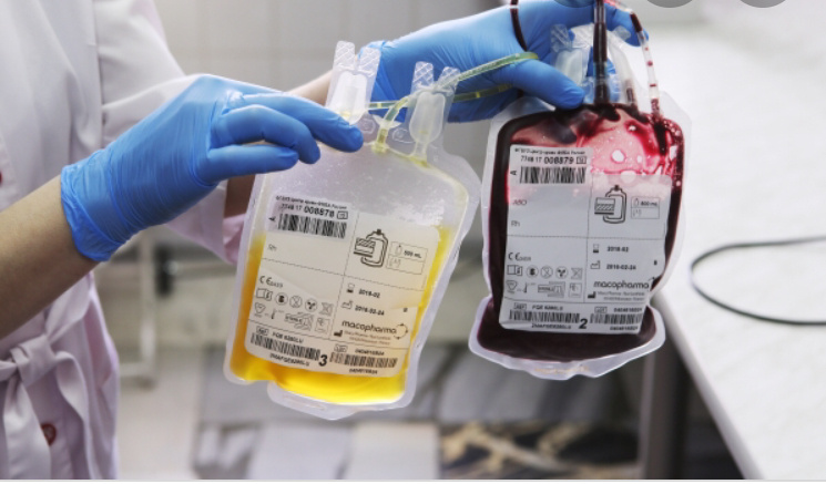 Кровь или плазма?