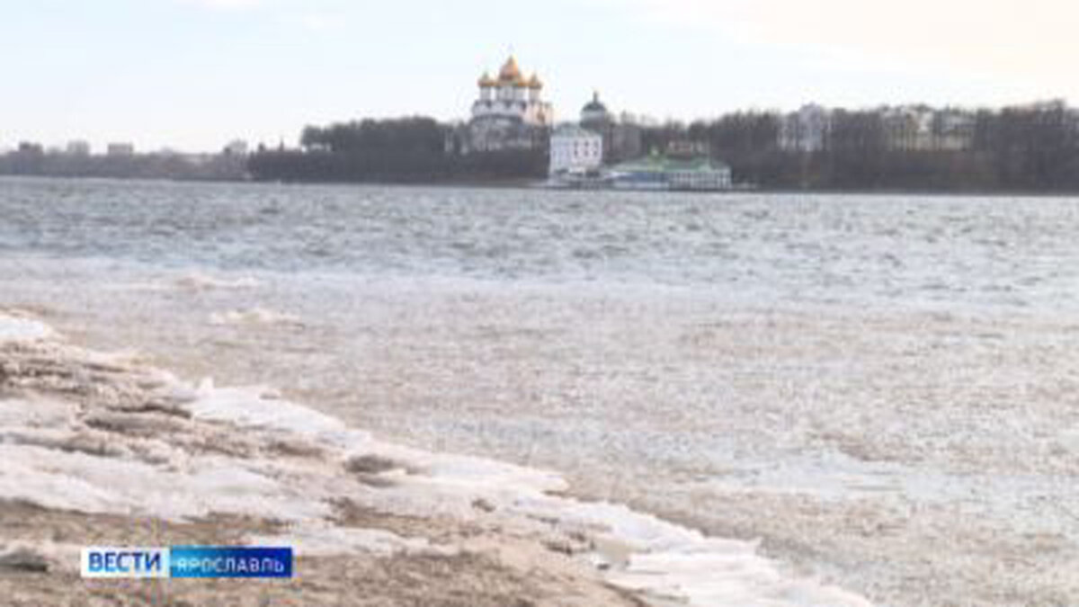 Температура волги сейчас ярославль. День Волги. Волга сегодня.