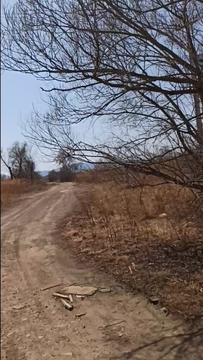 В дали можно разглядеть хребет Большой Хехцир, и именно в эту сторону на предстоит бежать