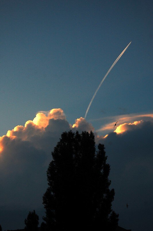 Фотография из личного архива.