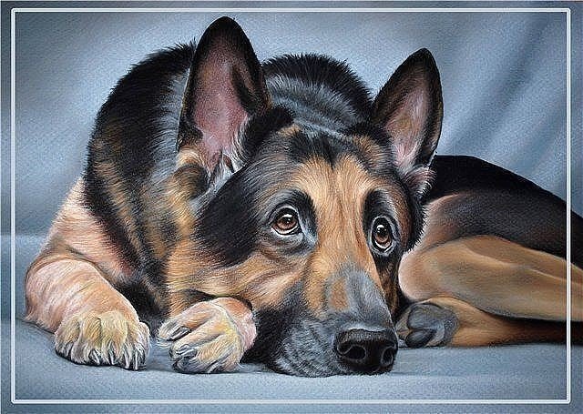 Изображение взято с Яндекс.картинки