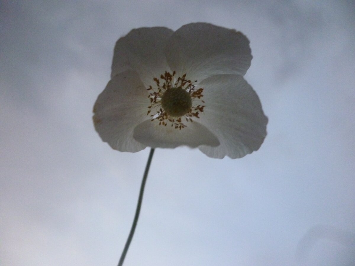 Фото из личного архива