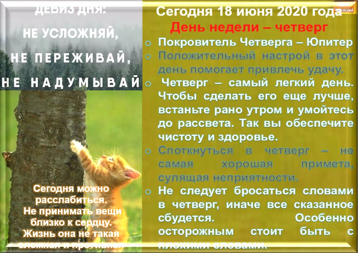 27 июня приметы. 12 Июня приметы. Народные приметы на июнь. Приметы июня
