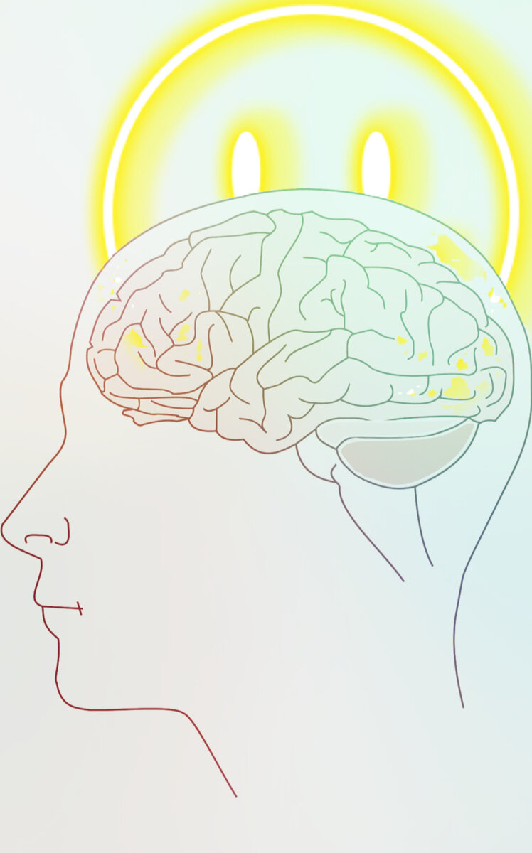 Brain 100. Самопрограммирование личности.