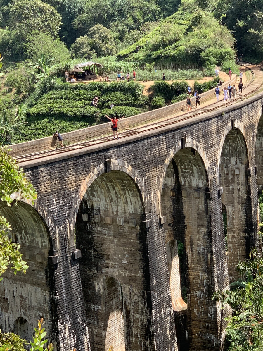 Demodara Bridge или «Девятиарочный мост» (Nine Arch Bridge) находится на железнодорожном пути между Эллой и ж/д станцией в городе Демодара. Он был построен в колониальный период в 1921 году полностью из кирпича, камня и цемента без использования металла и бетона, и стал для Шри-Ланки настоящим инженерным чудом того времени. Он до сих пор используется, и все поезда в сторону Бадуллы проходят по нему. 
Прогулка к мосту вдоль железнодорожных путей будет небольшим интересным приключением. Дойдя до моста, можно перейти по нему на другую сторону. На другой стороне чуть выше находится неплохая смотровая площадка, и еще несколько смотровых в округе.

Самое интересное действие здесь – проход по мосту поезда. Они проходят 12 раз в день, и к каждому проходу здесь собирается огромное количество туристов, так что лучше занять удобное место для фотографирования заранее. За несколько минут до прохода поезда железнодорожные служащие свистками пытаются прогнать всех туристов с моста, но обычно там всегда кто-то остается, и поезд безопасно проходит.