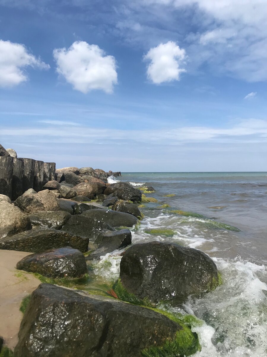 Доброе морское утро