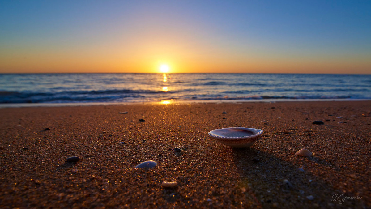 Цените каждый момент