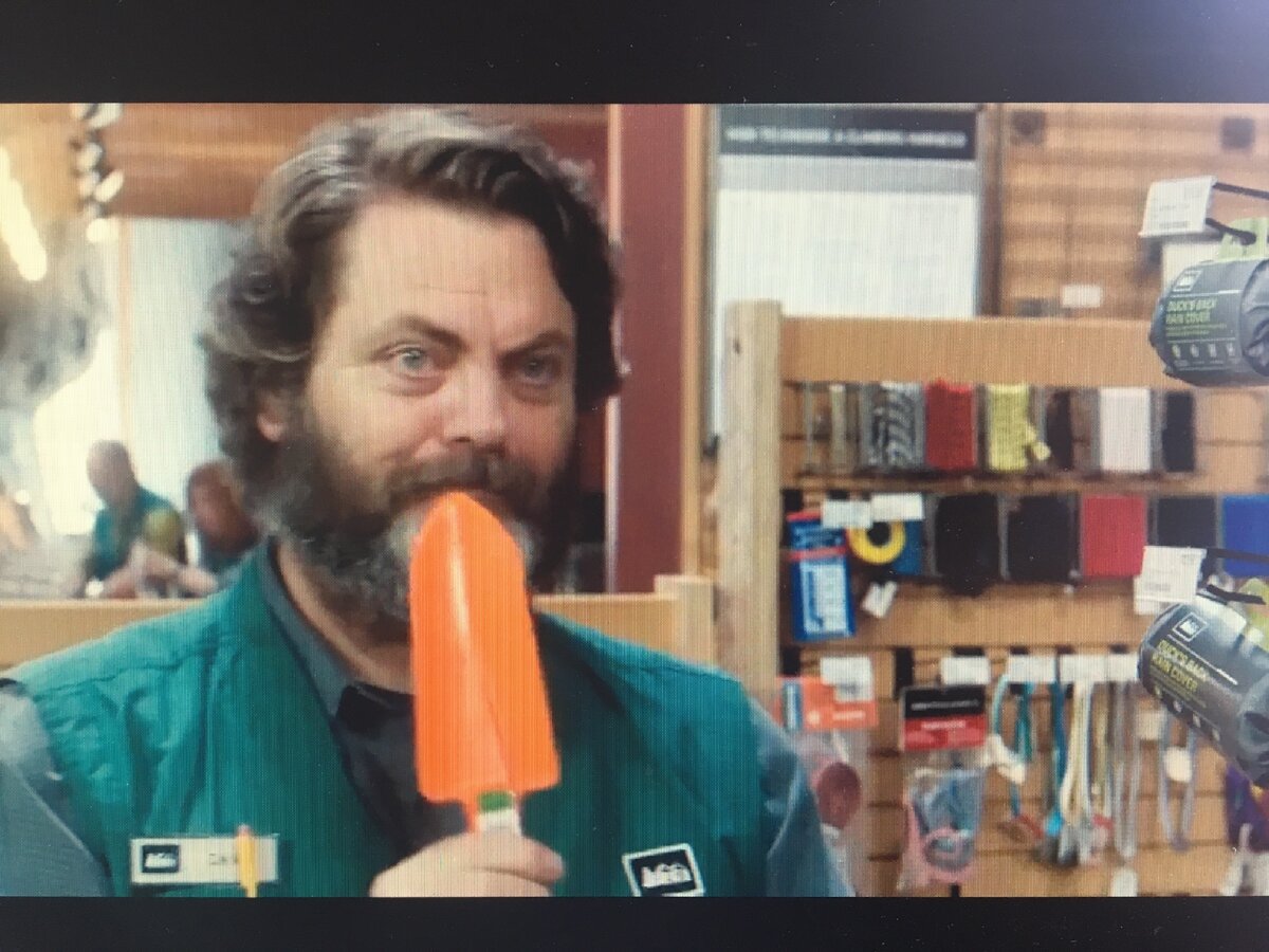 Кадр из фильма «Прогулка по лесам”