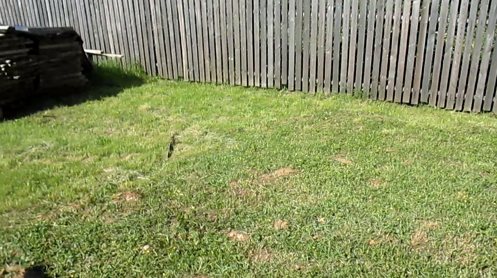 Подготовка места под будущее строение