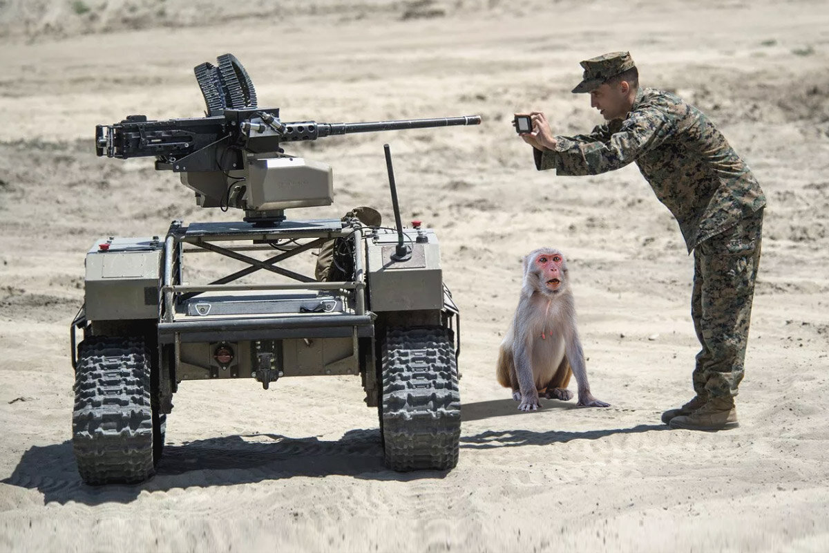 Приматы, как наиболее развитые из высших животных, тоже желают знать, чем будут заниматься военные роботы Пентагона на их исторической родине