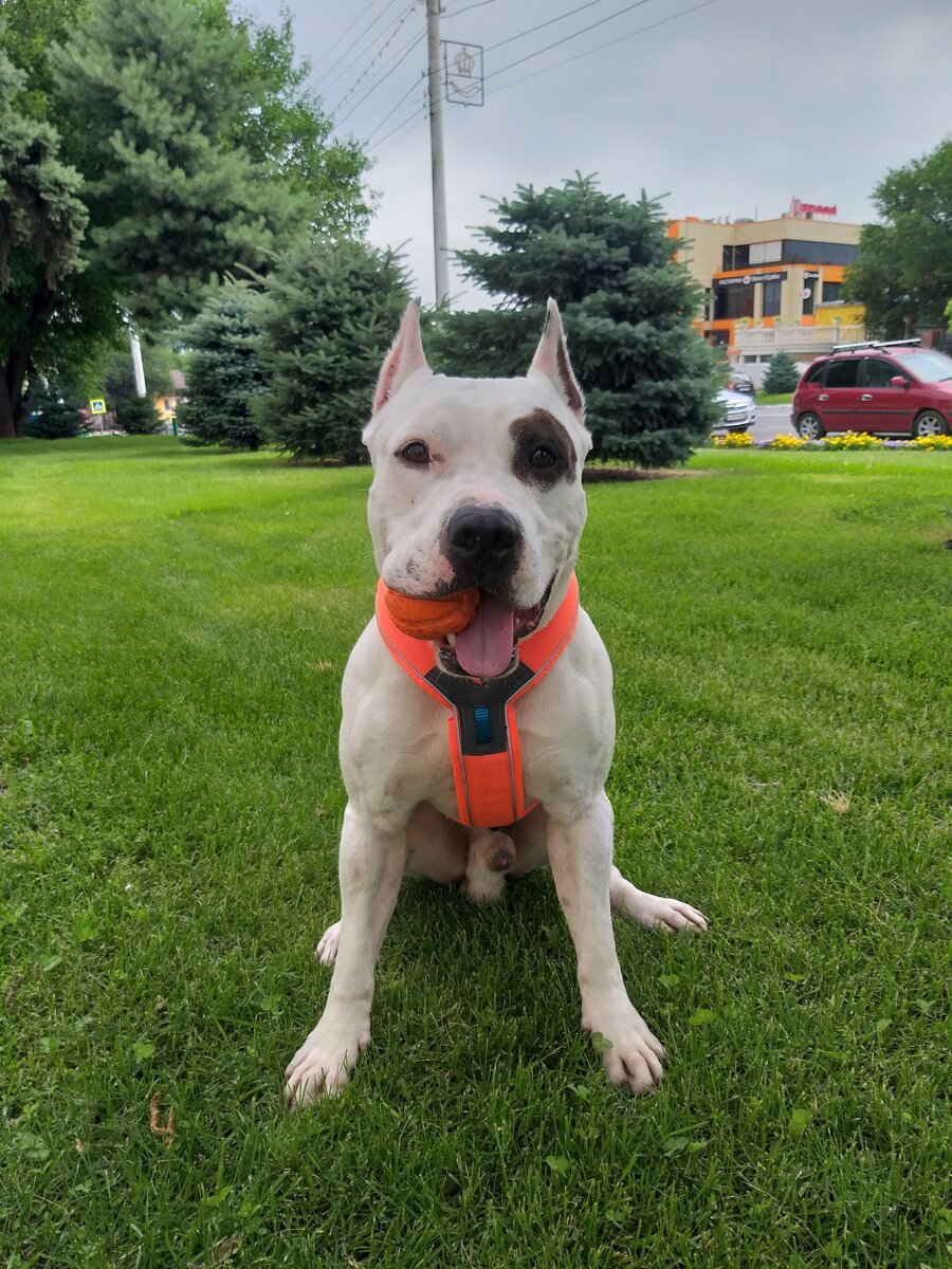 Яркое лето в яркой амуниции для плавания