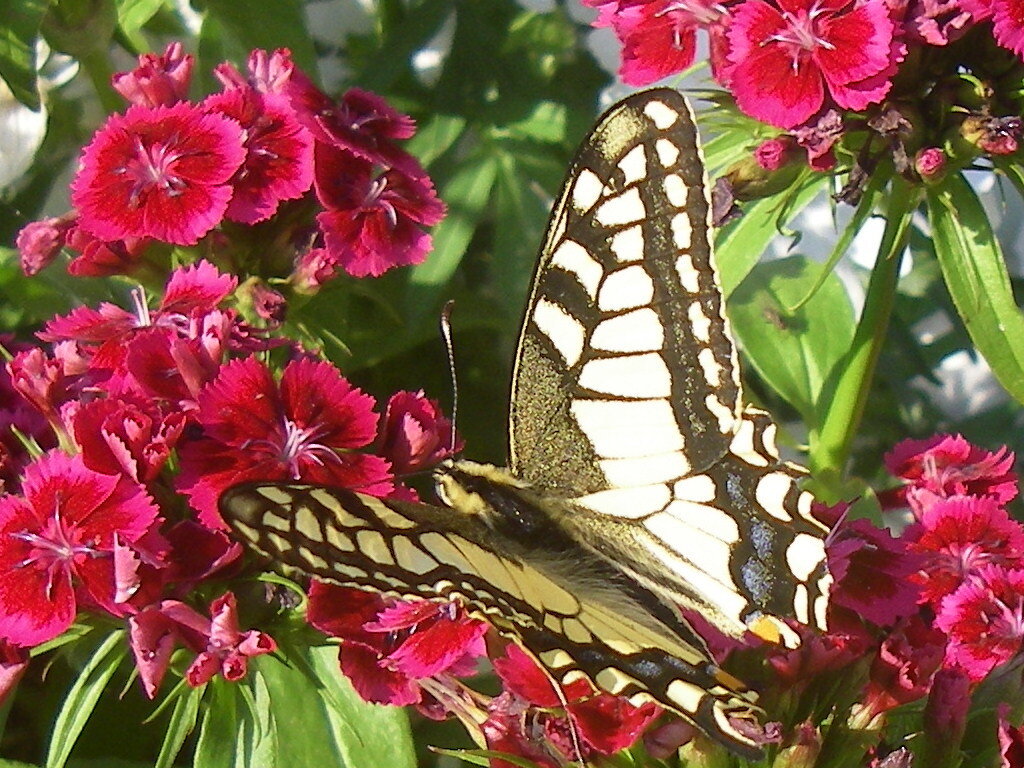 фото Ларисы Полуэктовой