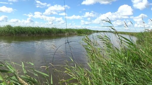 Караси монстры на паук подъемник. | Венак из Сибири | Дзен