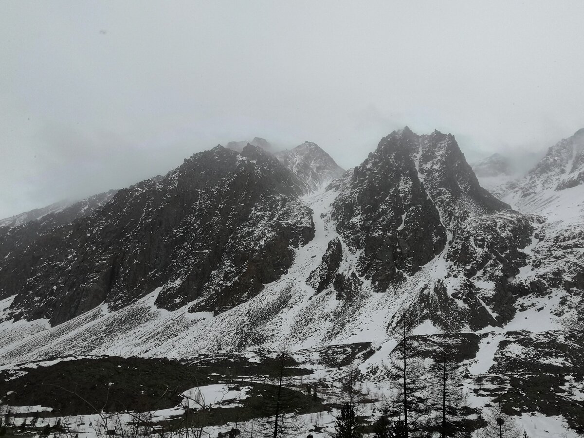 Алтай, близ ледника Актру 2019