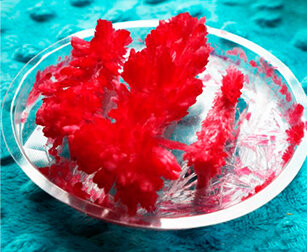 Набор для выращивания кристаллов