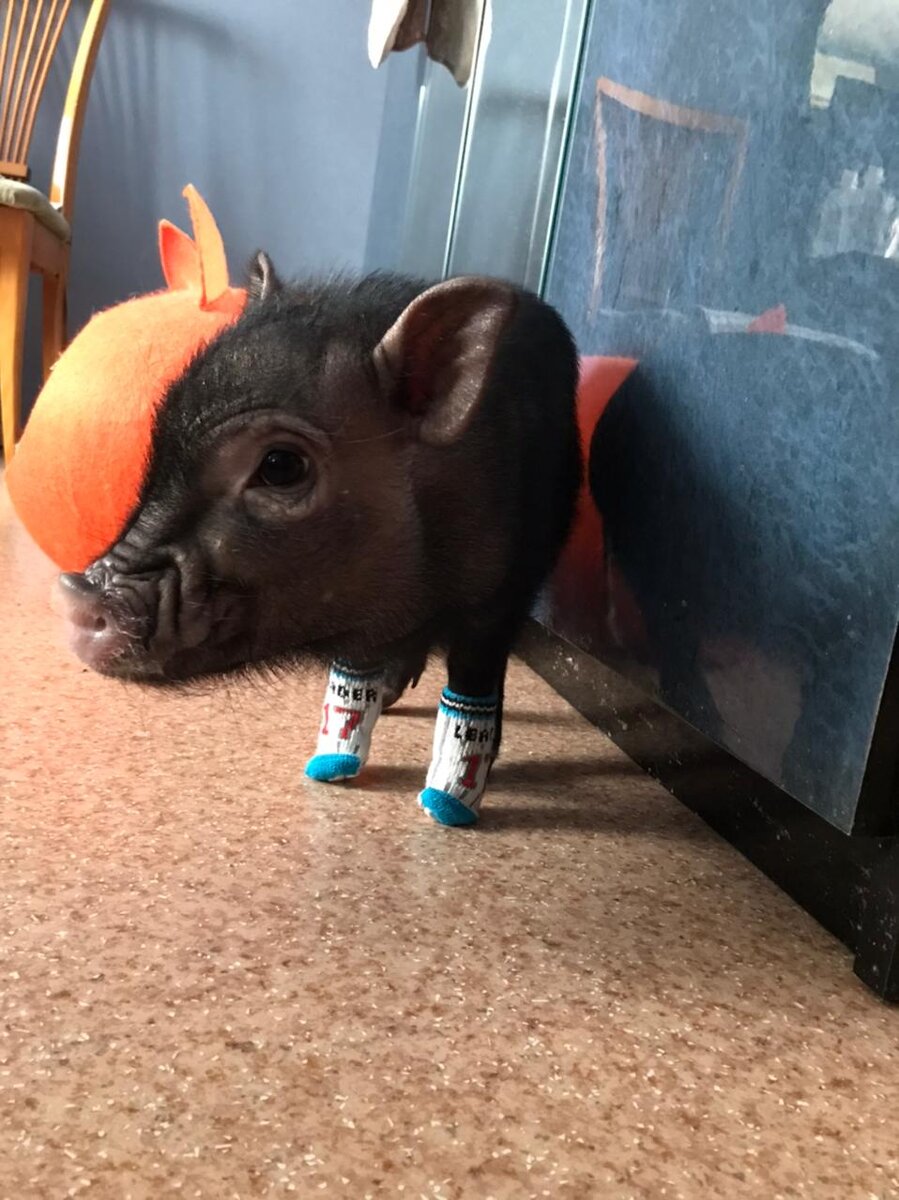 Митюшка в носочках