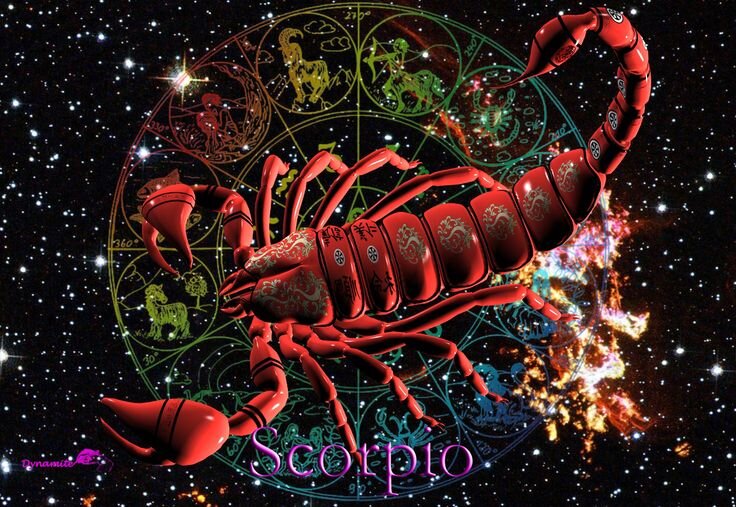 яндекс картинки