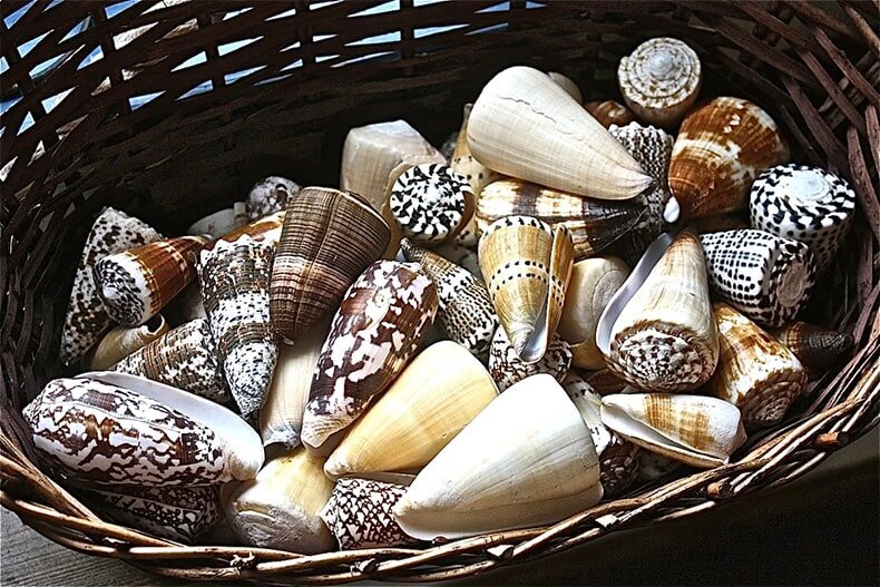 Вариант первой валюты в истории денег