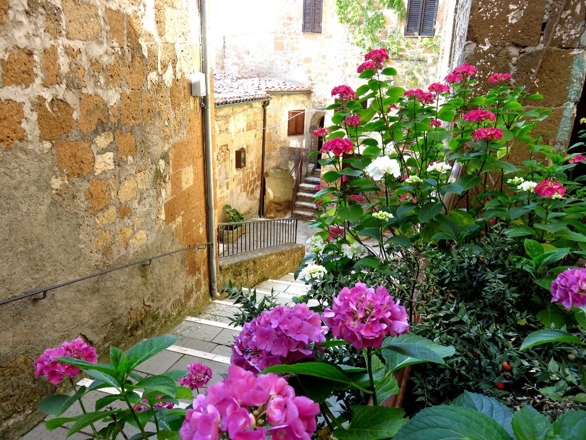 Фотографии цветочных двориков  и улиц из разных городов Италии: Пиенца, Орвието, Питильяно, Болгери, Сиена (Листайте галерею)