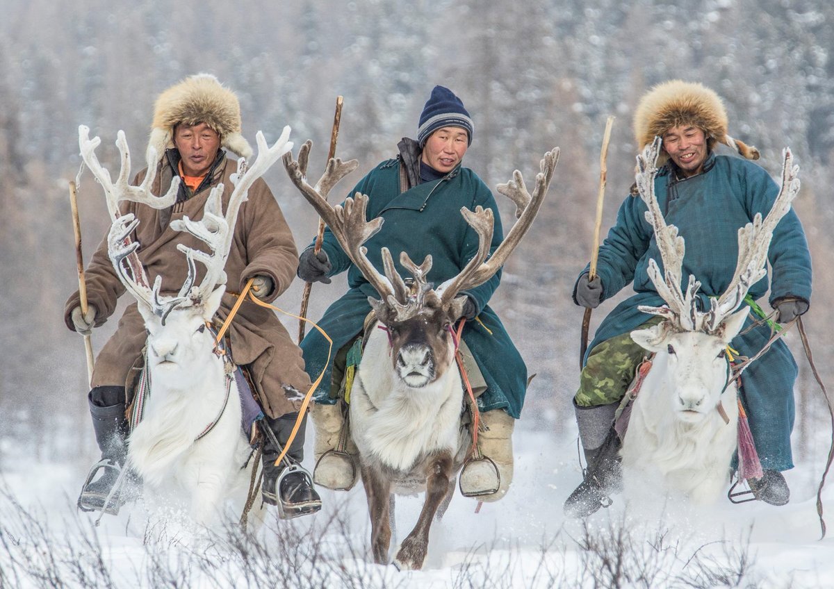 Эвенки охотятся верхом на оленях