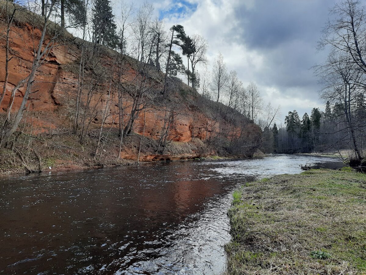 река Оредеж