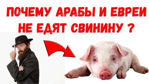 Почему мусульмане не едят свинину?