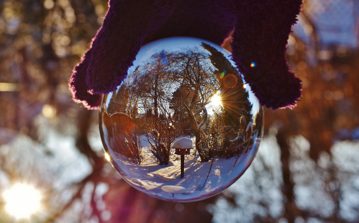 фото с рх