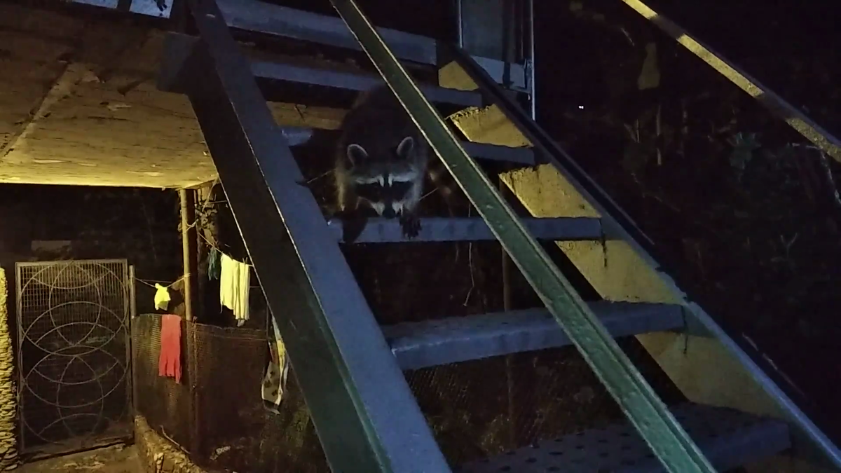 Вот такие товарищи приходили к нам