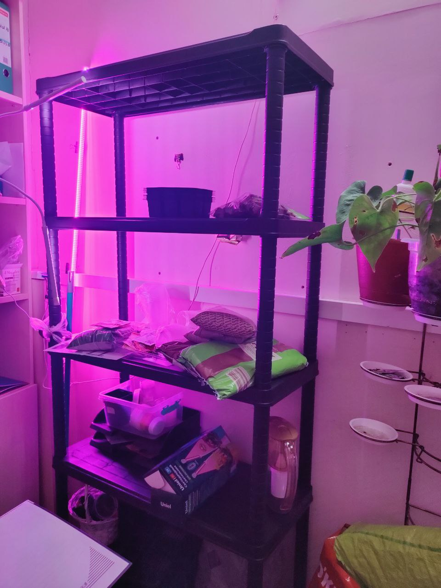 наш стеллаж 