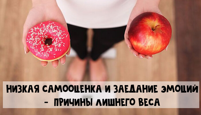 Calorizator.ru