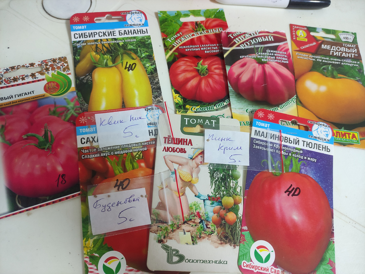 Определилась. Вроде.